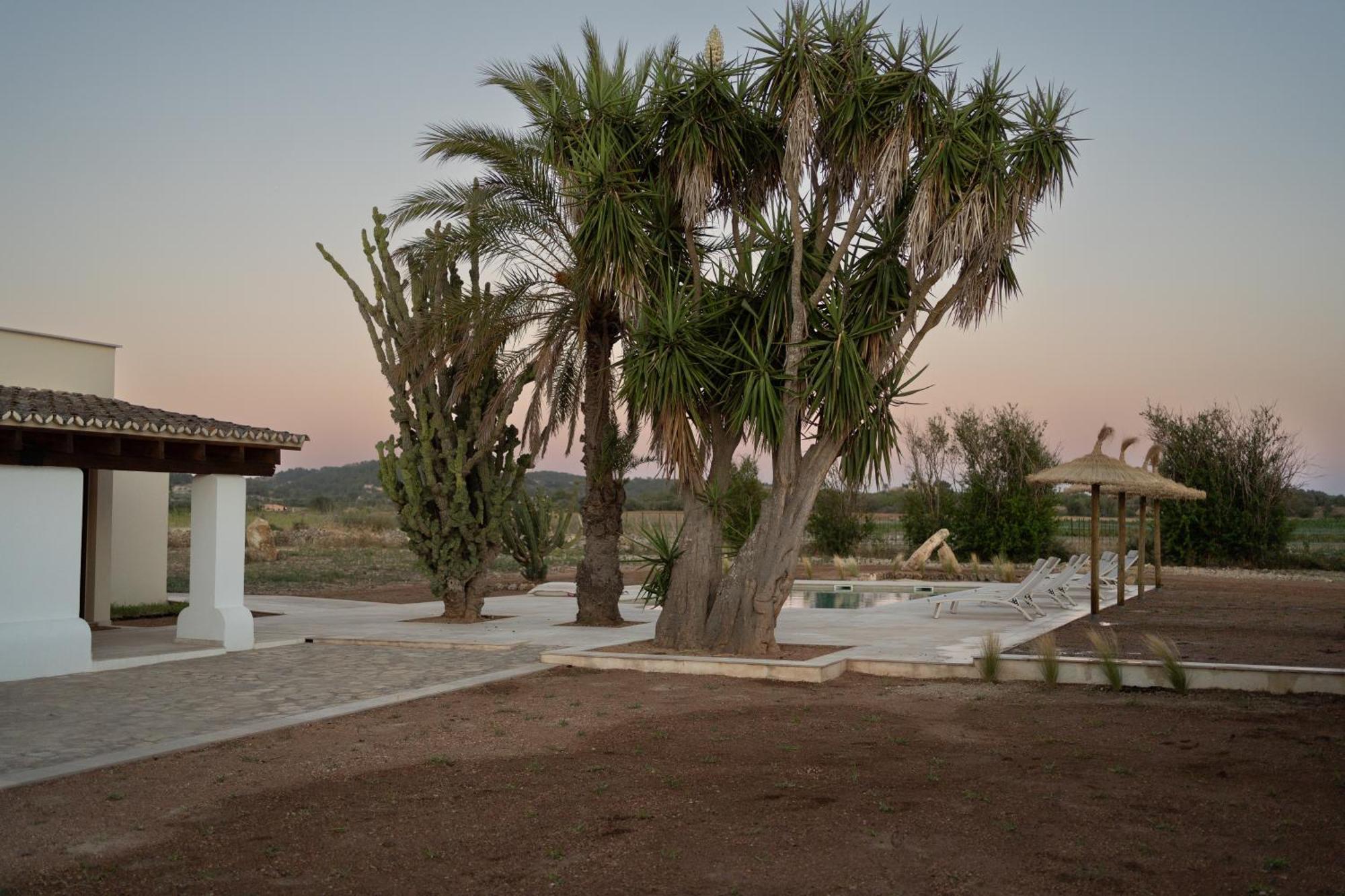 Vino Resort Son Amaret Son Macia  Buitenkant foto