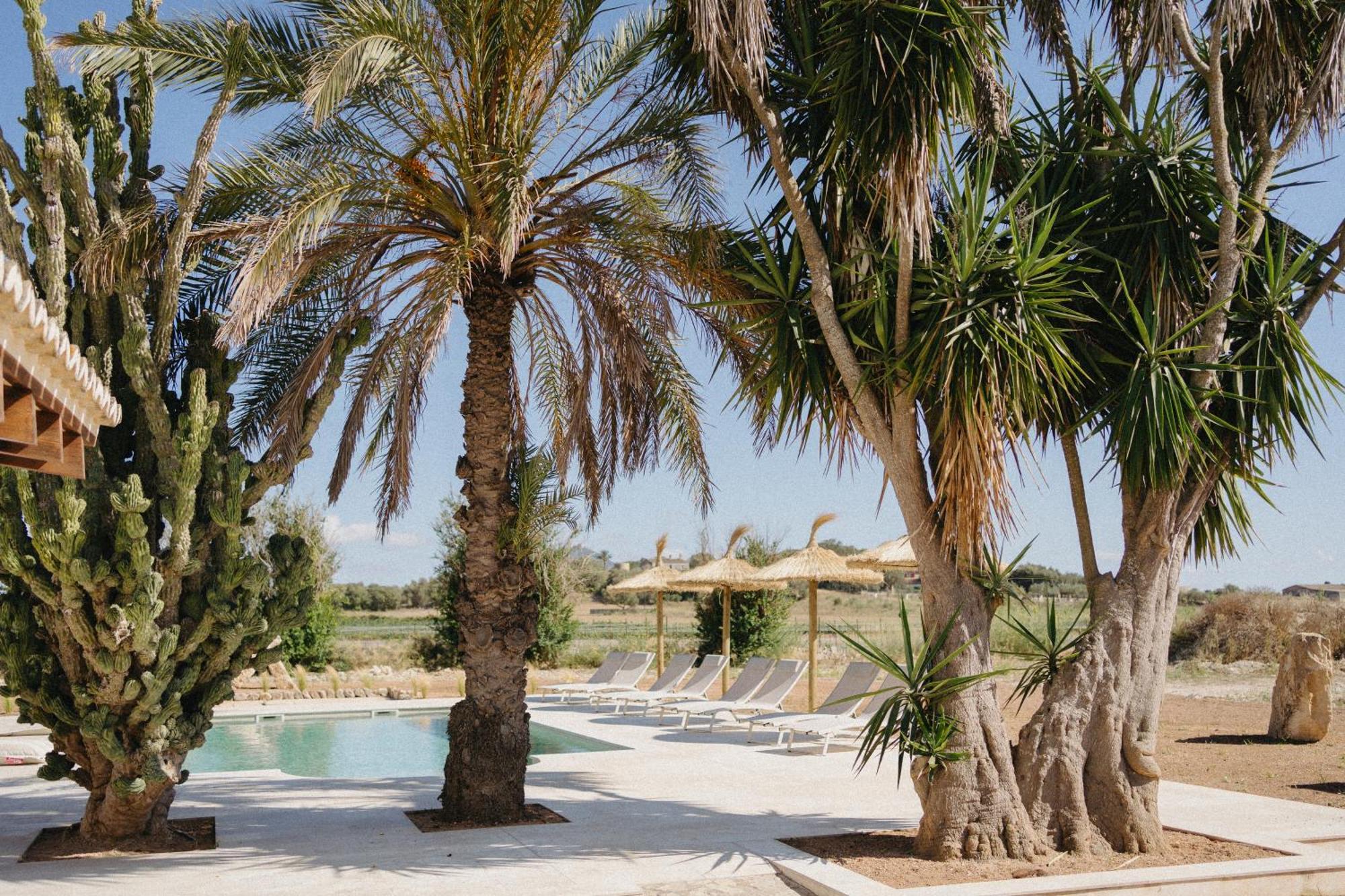 Vino Resort Son Amaret Son Macia  Buitenkant foto