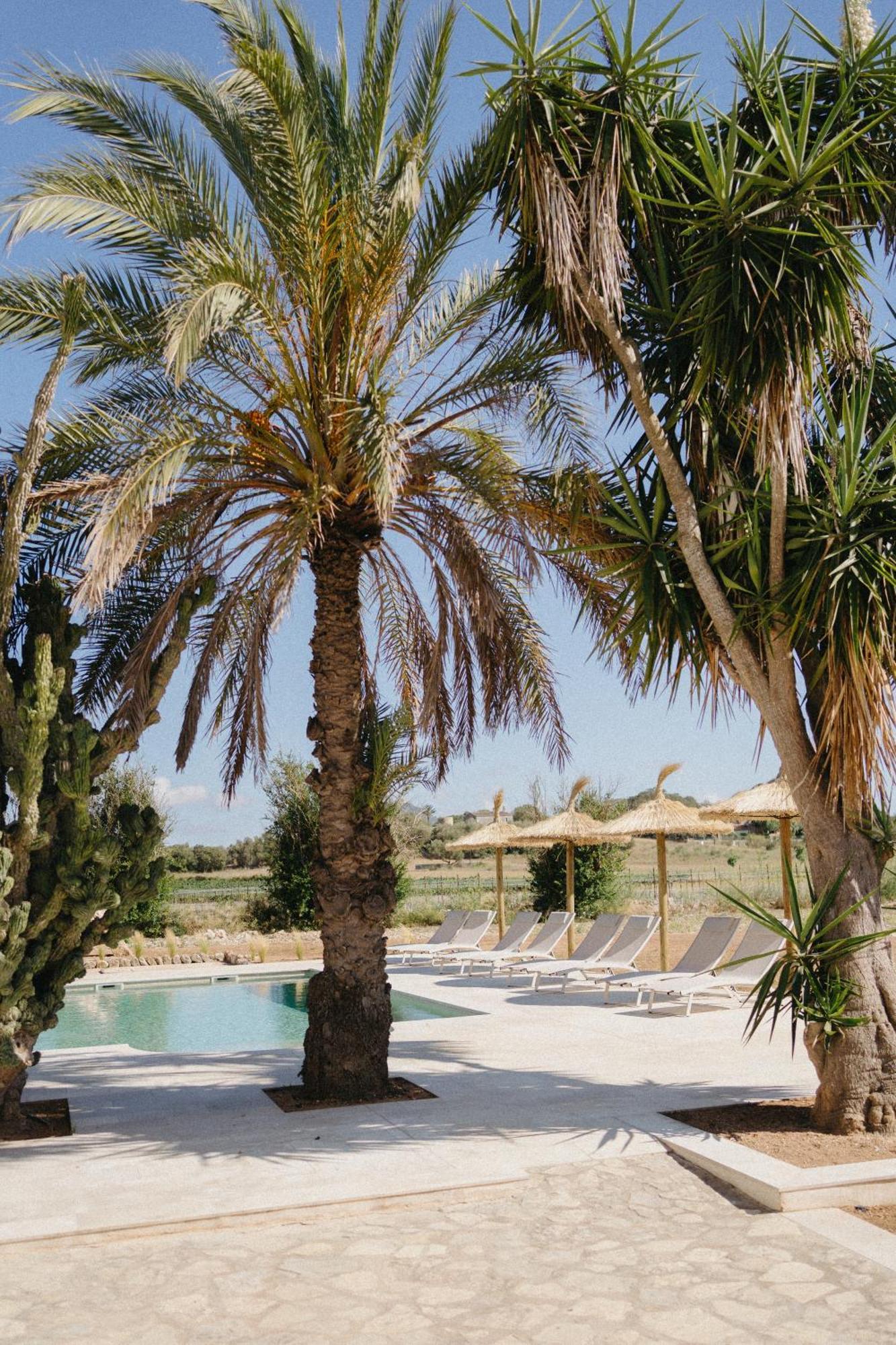 Vino Resort Son Amaret Son Macia  Buitenkant foto