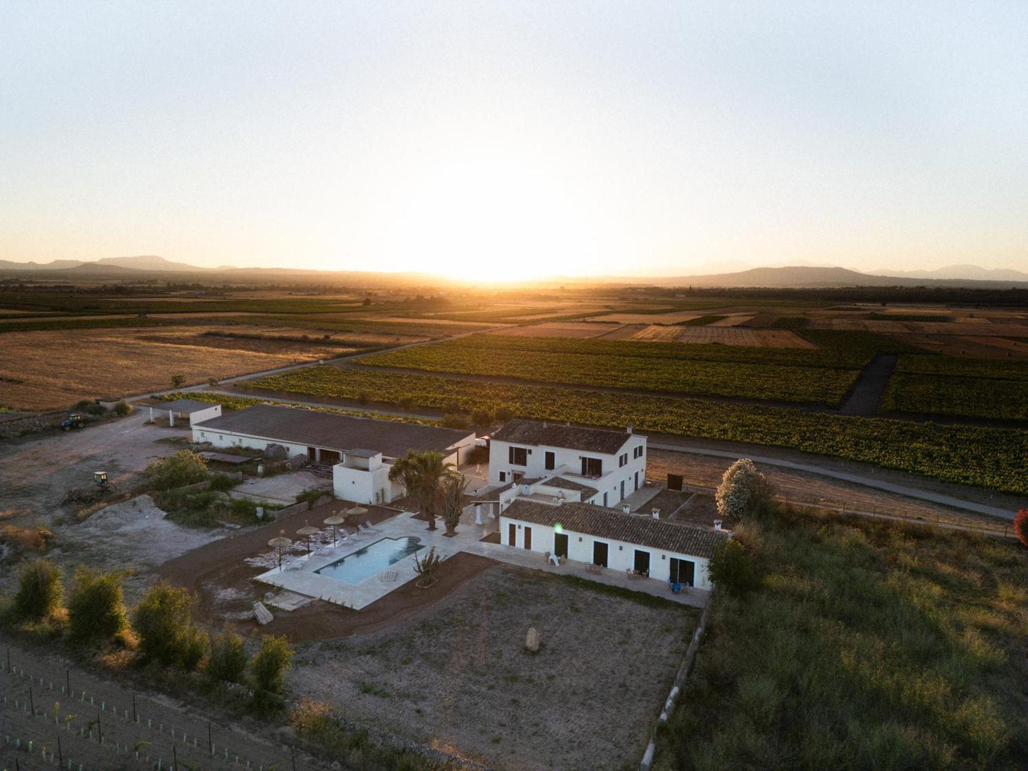 Vino Resort Son Amaret Son Macia  Buitenkant foto