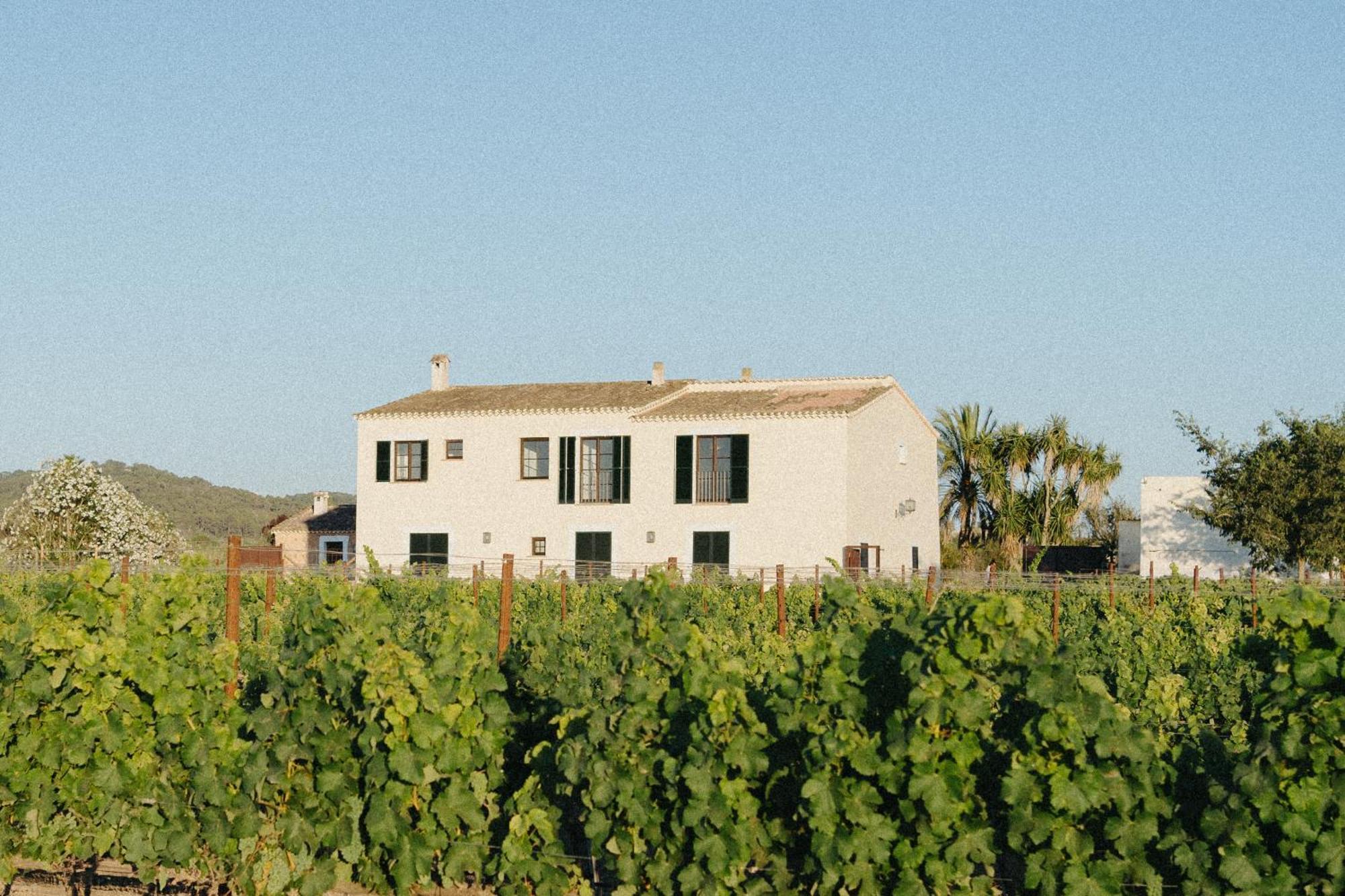 Vino Resort Son Amaret Son Macia  Buitenkant foto